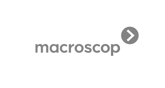 MACROSCOP